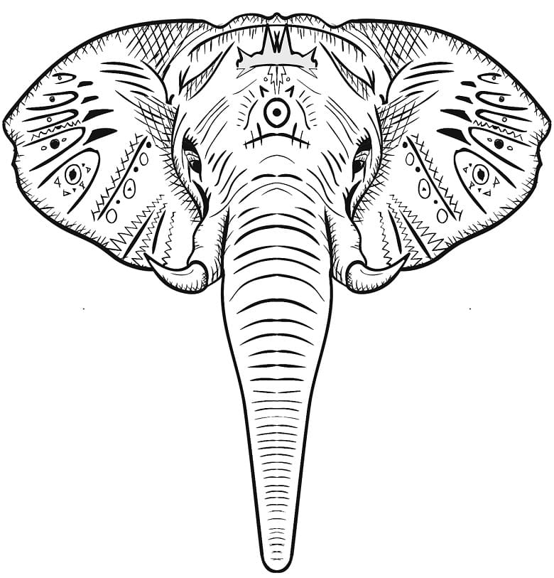 Úžasná sloní hlava omalovánka