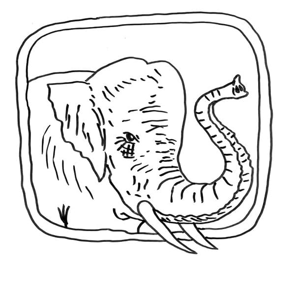 Kresba slona omalovánka