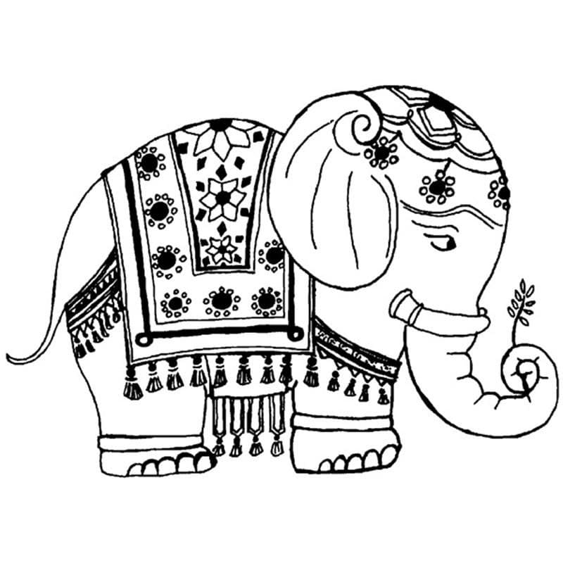 Mládě indického slona omalovánka