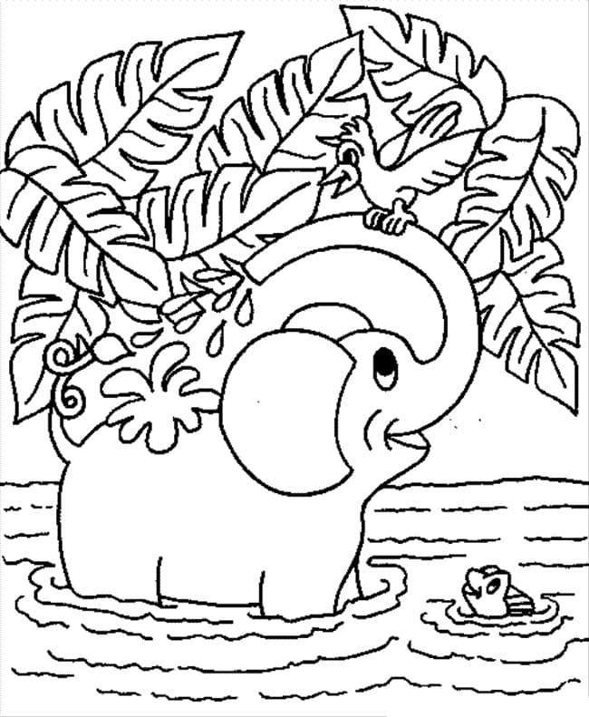 Slon a pták omalovánka