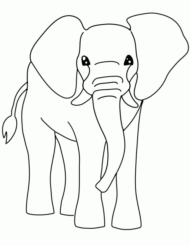 Slon do barvy omalovánka