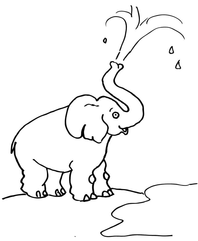 Slon fouká vodu omalovánka