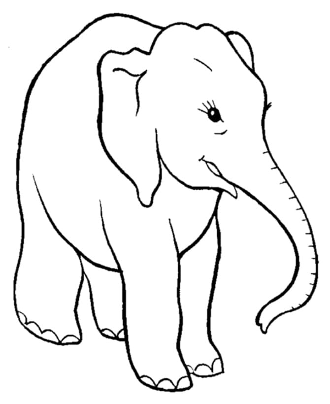 Zdarma k vytisknutí slon omalovánka