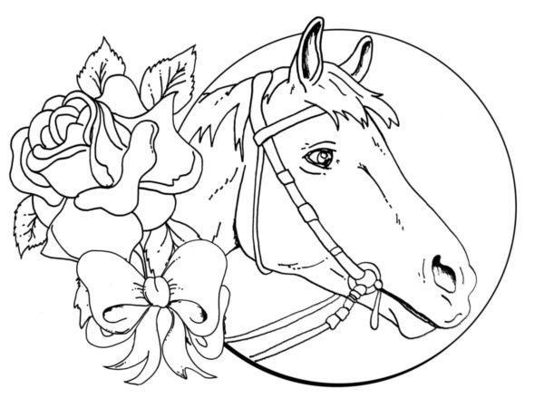Omalovánka Hlava koně s květinou a mašlí