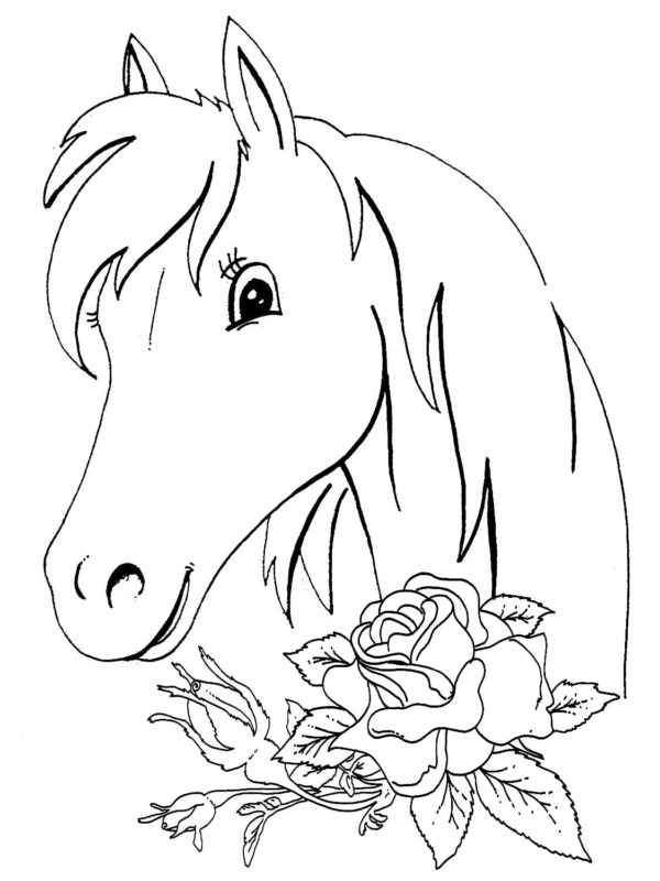 Kůň a velká růže omalovánka