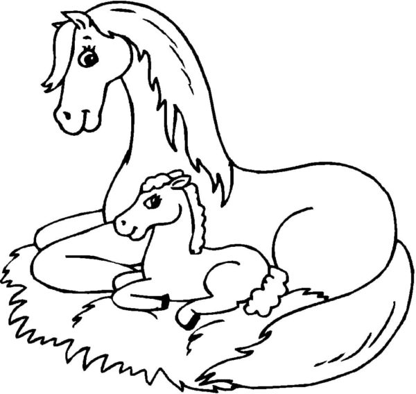Kůň s dítětem omalovánka