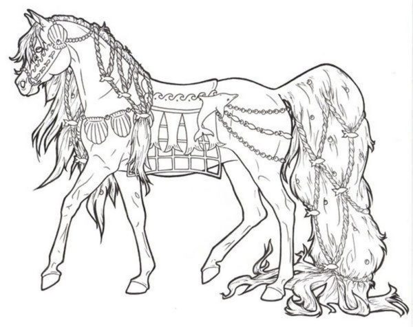 Omalovánka Kůň vyzdobený v námořnickém stylu