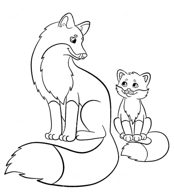 Liška a malá liška omalovánka