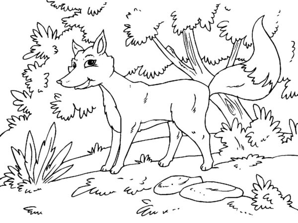 Liška v lese omalovánka