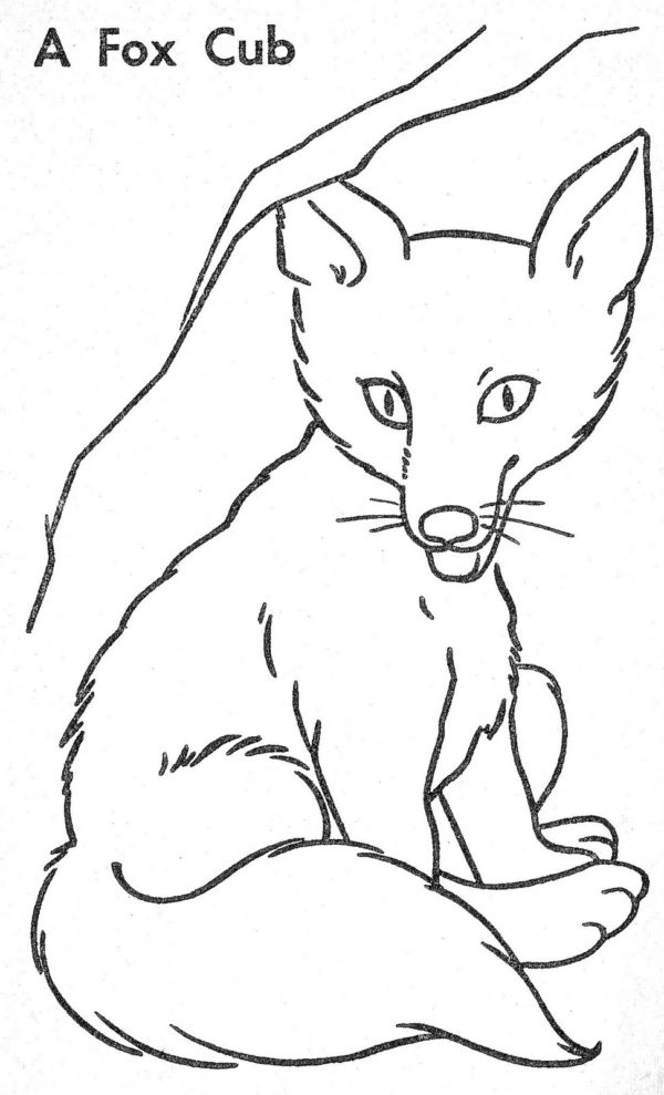 Omalovánka Omalovánka Fox