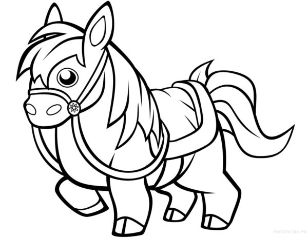 Pony omalovánka