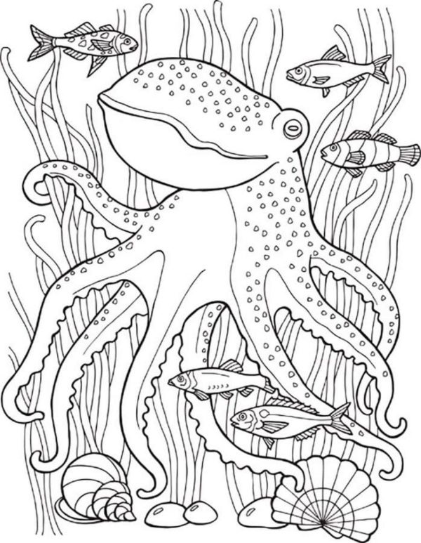 Chobotnice omalovánka
