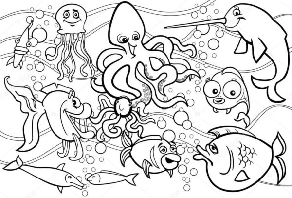 Zde jsou ryby, chobotnice a medúzy omalovánka