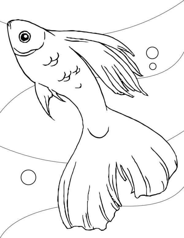 Zlatá rybka omalovánka