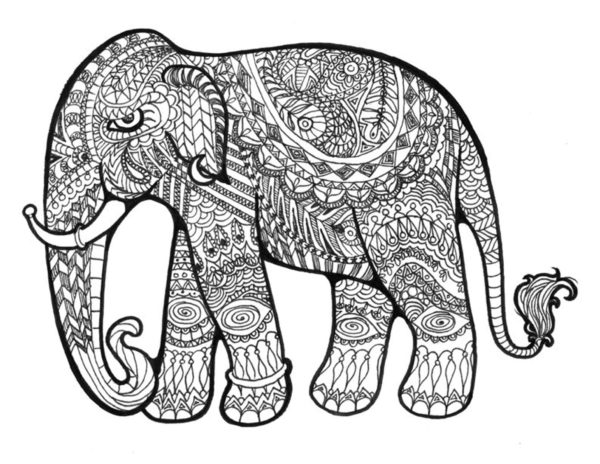 Antistresové zbarvení slona. omalovánka
