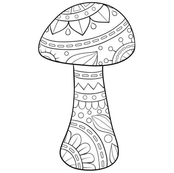 Ažurové zbarvení houby. omalovánka