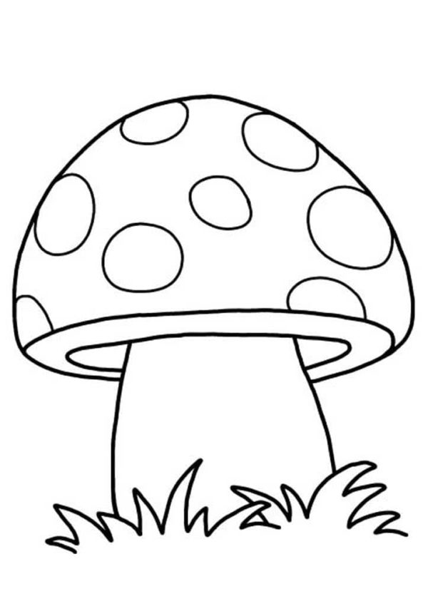 Červená houba s bílými skvrnami omalovánka