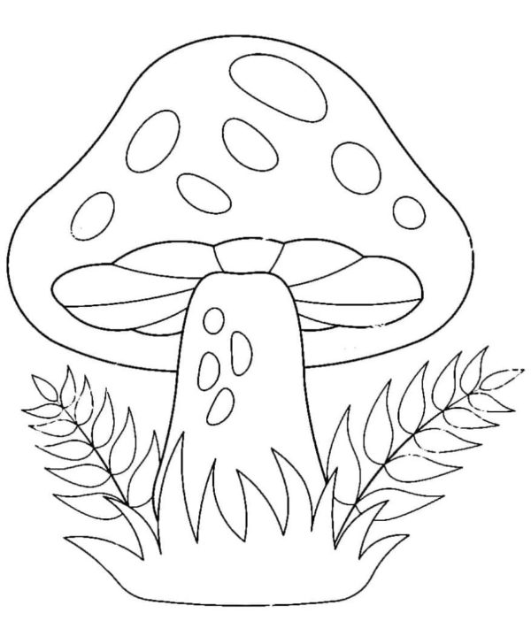 Omalovánka Červená skvrnitá houba – muchomůrka.