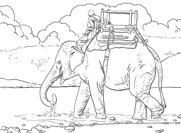 Cestování za slony omalovánka