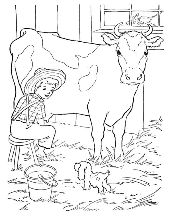 Chlapec ve slaměném klobouku dojící krávu omalovánka