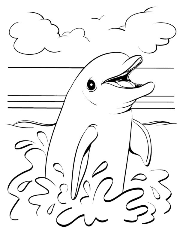 Delfínův šťastný výkřik. omalovánka