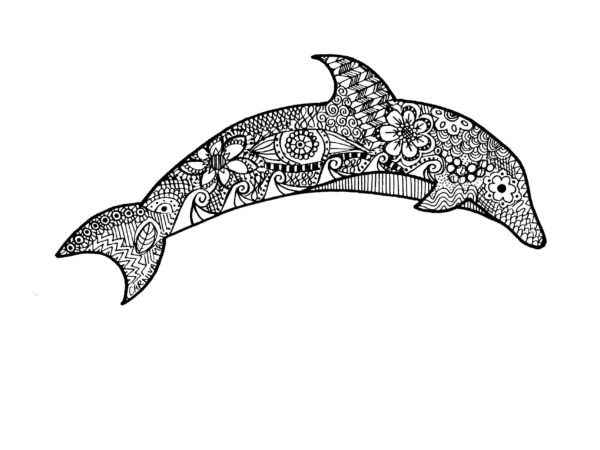 Dolphin antistresové omalovánky. omalovánka