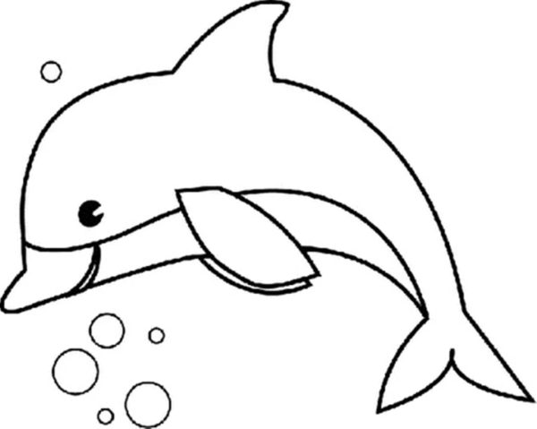 Dolphin bubliny. omalovánka