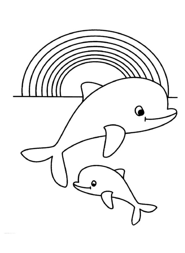 Duha a delfíni. omalovánka