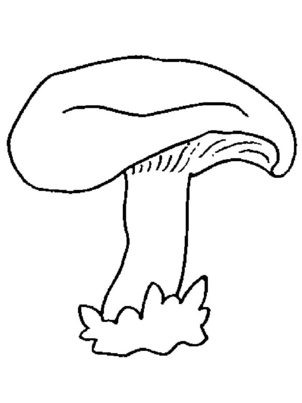 Omalovánka Jedlá houba se žlutým kloboukem.