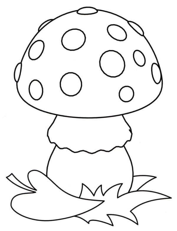 Jedovatá houba omalovánka