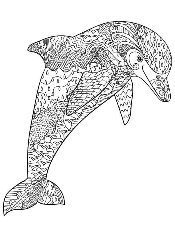 Komplexní zbarvení delfína. omalovánka