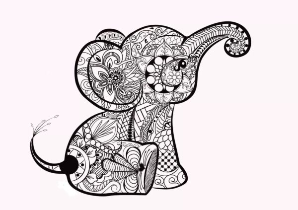 Komplexní zbarvení slona. omalovánka