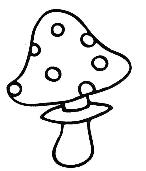 Krásná, ale nebezpečná houba. omalovánka