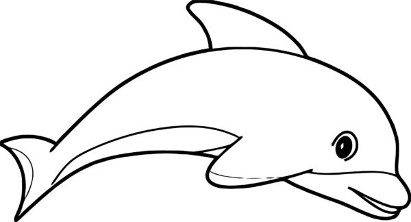 Kresba delfínů. omalovánka