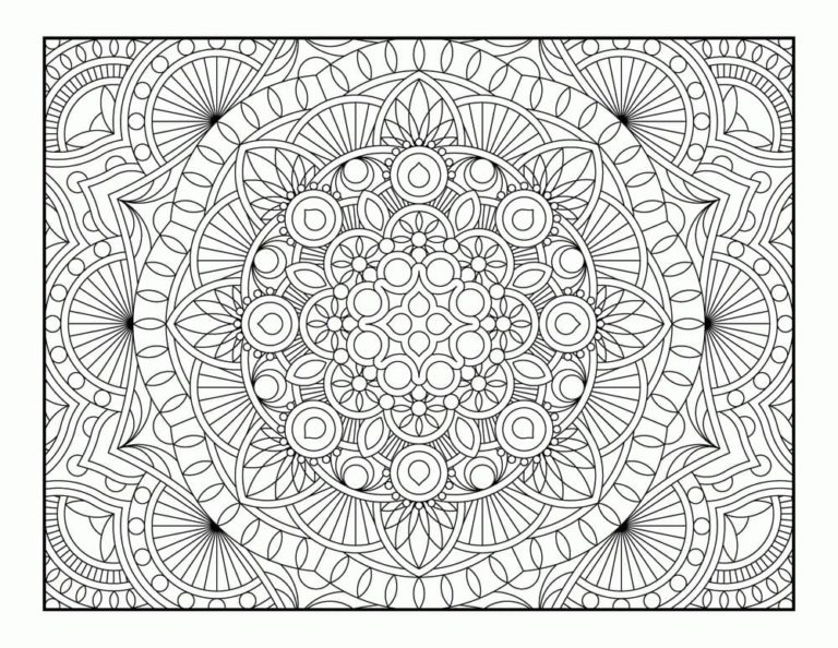 Omalovánka Květinové vzory s geometrickými ornamenty.