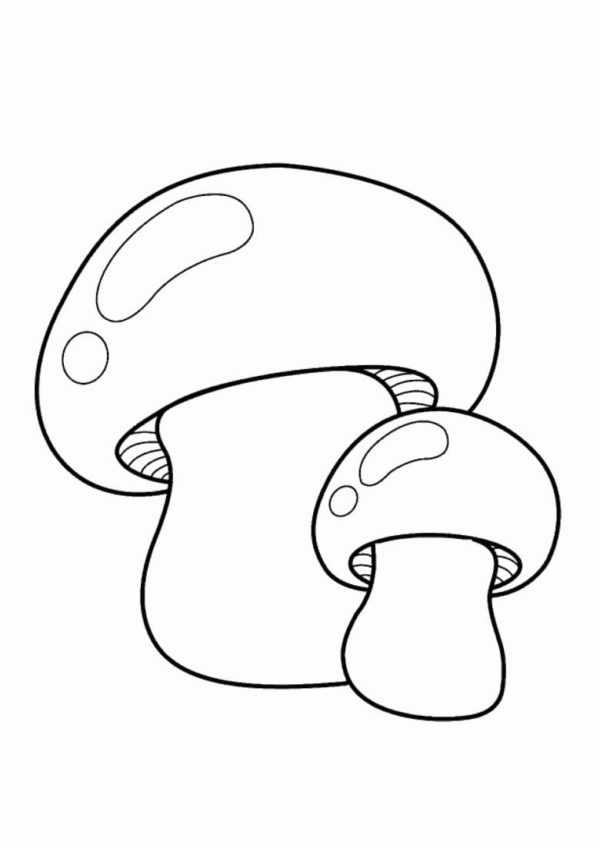 Lahodné houby. omalovánka