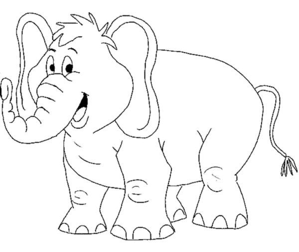Legrační slon si chce hrát omalovánka