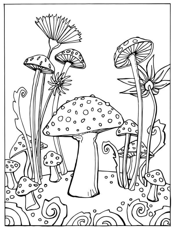 Omalovánka Lesní mýtina s houbami