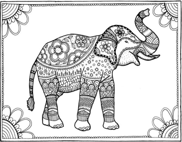 Malování slonů. omalovánka