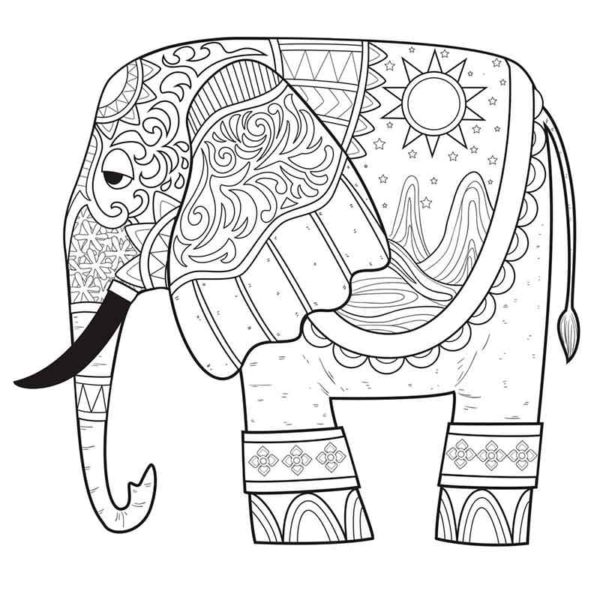Malovaný slon. omalovánka
