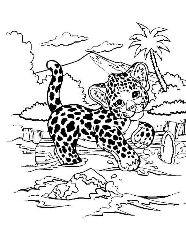 Malý gepard ve volné přírodě omalovánka