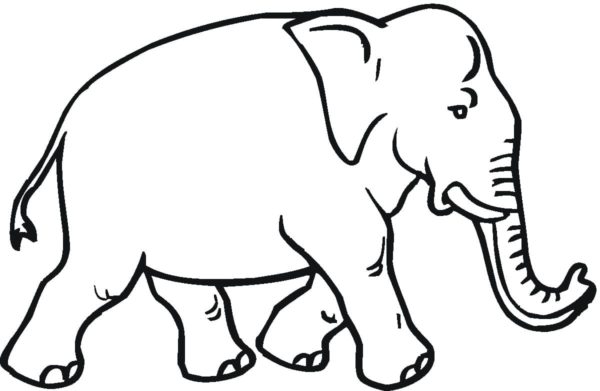 Mocný slon omalovánka