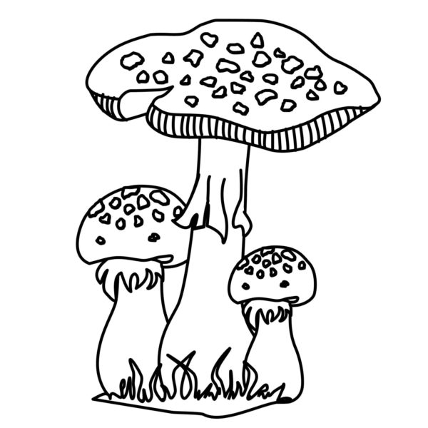 Omalovánka Nebezpečná houba – muchomůrka panterova