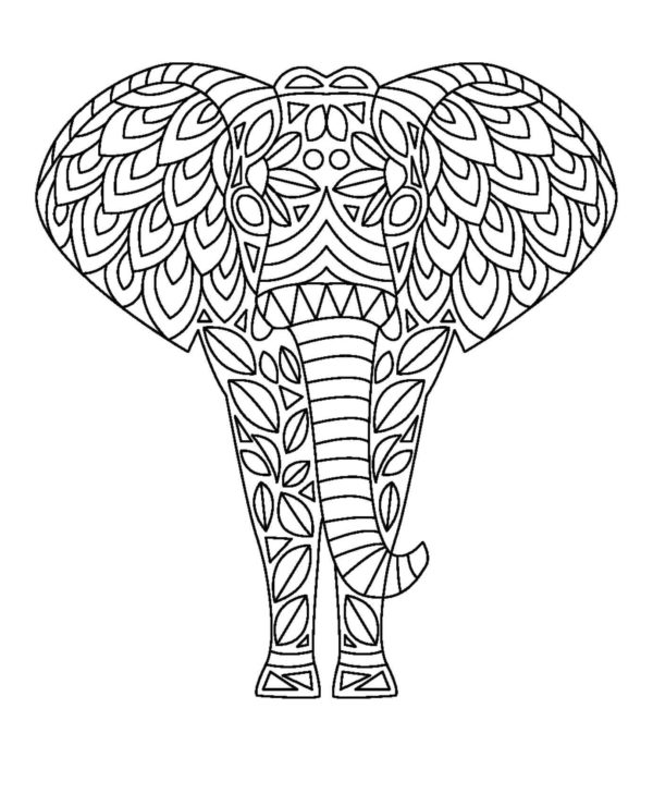 Objemový obraz slona. omalovánka