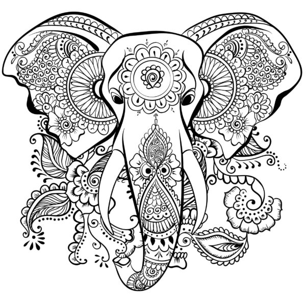 Oblečení indického slona omalovánka