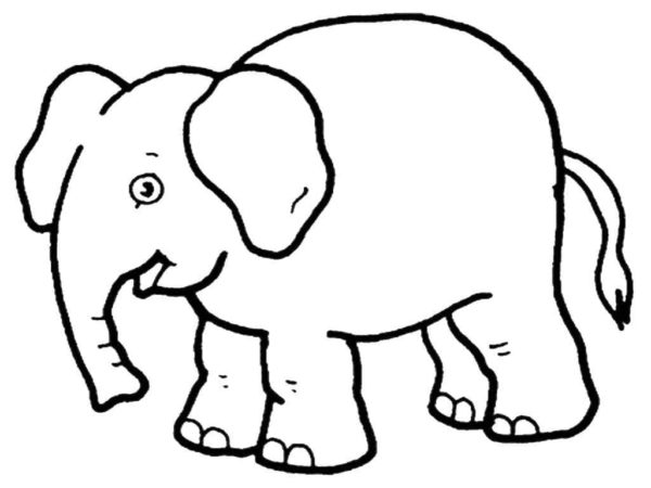 Omalovánka slon 1 omalovánka