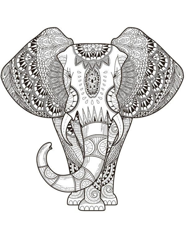 Omalovánka slon antistresová omalovánka