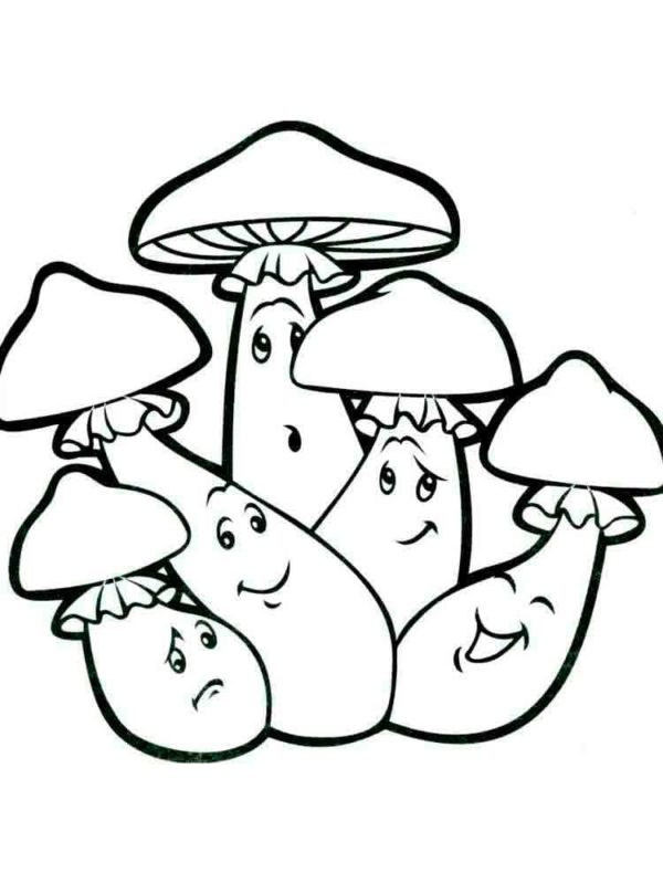 Perky houby omalovánka