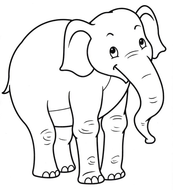 Omalovánka Přátelský slon