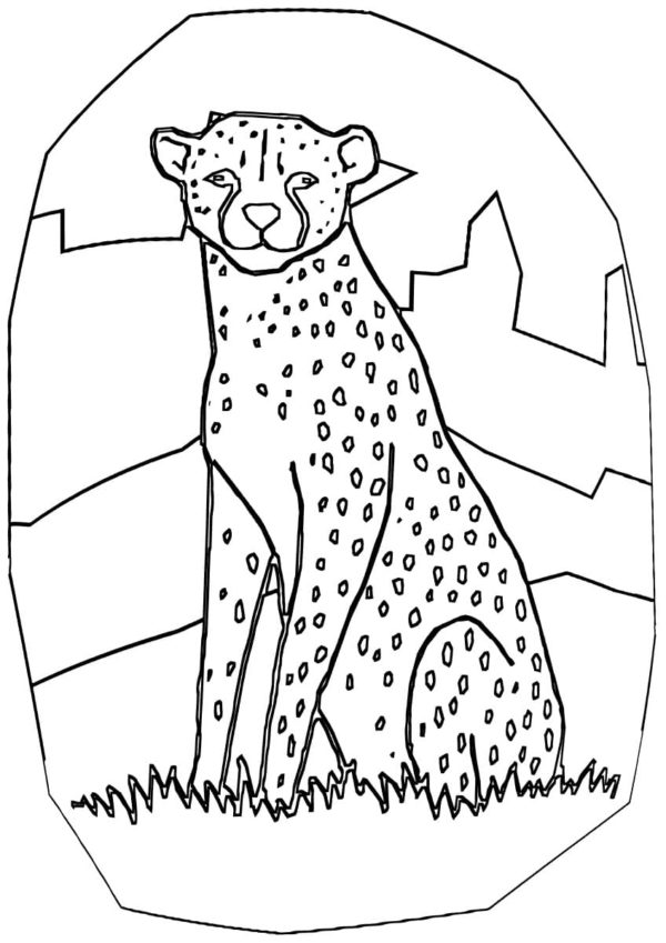 Pro vrozeného predátora je gepard příliš měkký a mírumilovný omalovánka